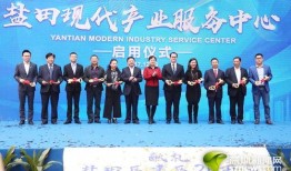 盐田新闻爆料网,聚焦热点，传递民生声音