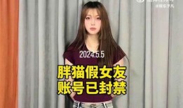 胖猫朋友爆料视频,视频揭秘幕后真相