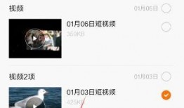 微信小视频在线观看,随时随地畅享精彩瞬间