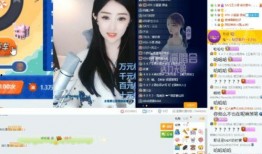 麦蔻被爆料视频,揭秘明星真实一面